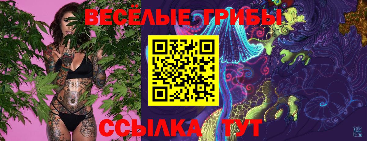 наркошоп  Вход с VPN  Псилоцибиновые грибы мухоморы  Россия  Галлюциногенные грибы Cubensis 
