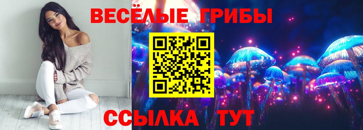 Галлюциногенные грибы Magic Shrooms Россия